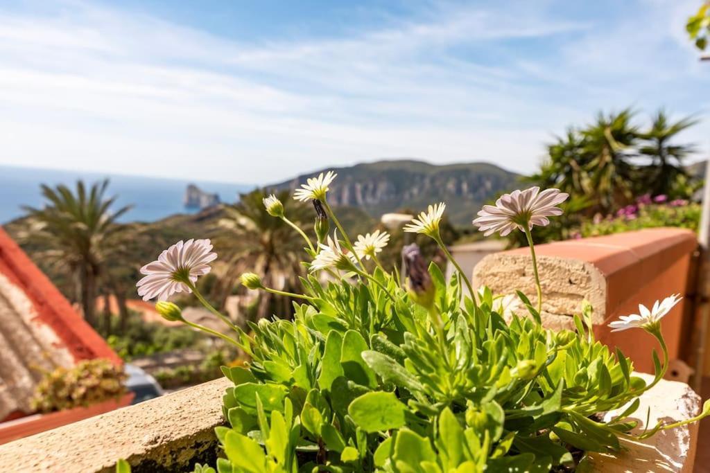 Vista Sul Pan Di Zucchero - Nebida - Holiday House Eksteriør bilde