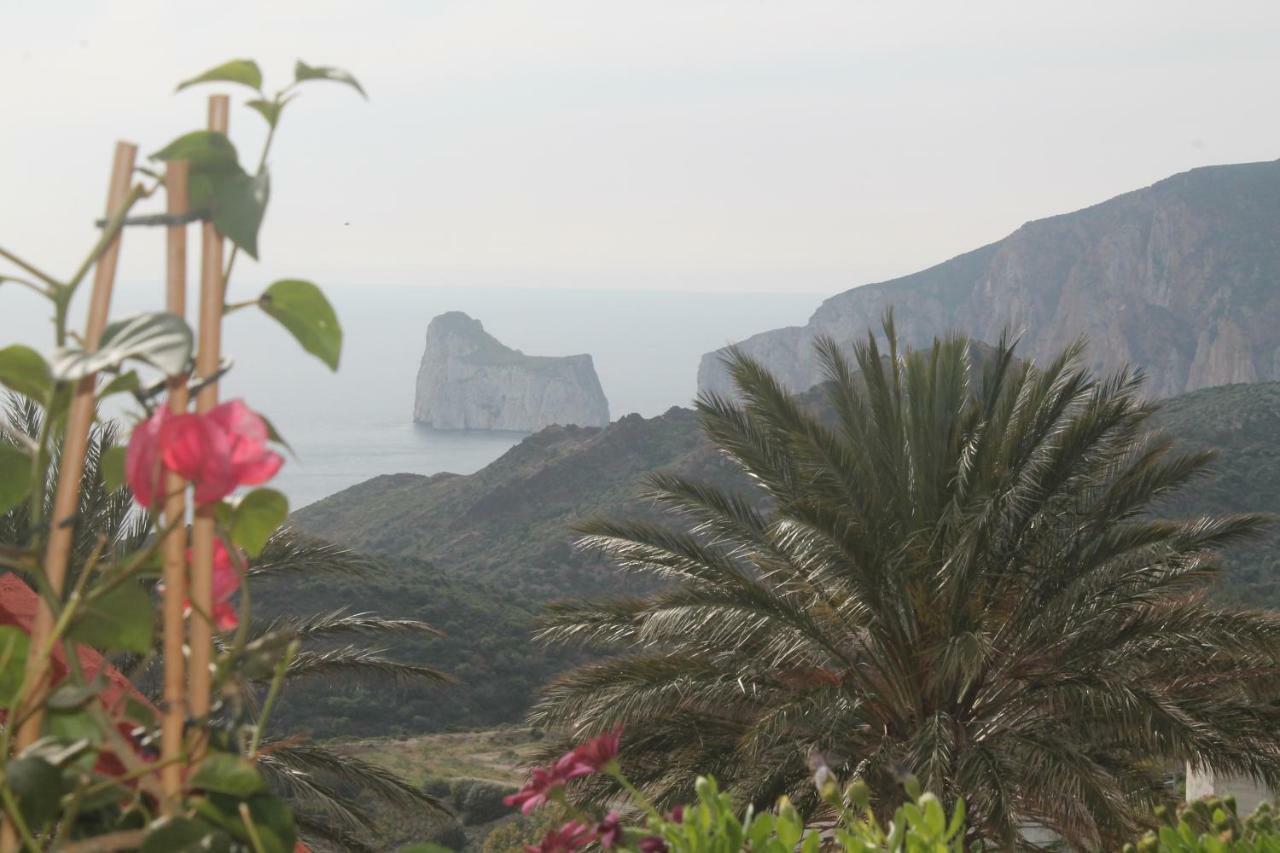 Vista Sul Pan Di Zucchero - Nebida - Holiday House Eksteriør bilde
